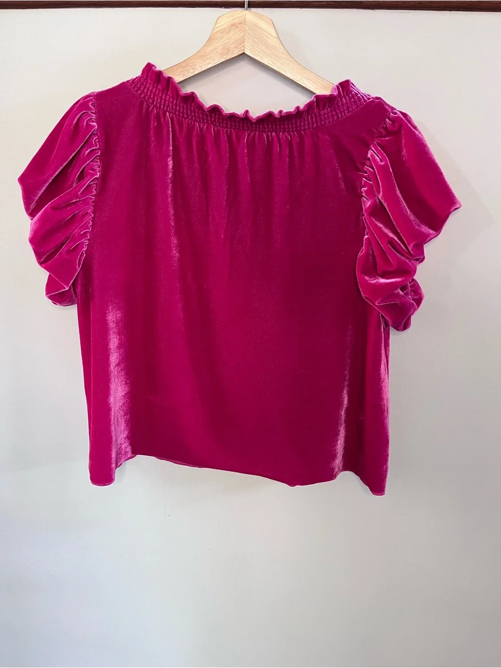 Free People Fuchsia Pink Velvet Smocked Tie Neck Puff Sleeve Top XS OB1585260